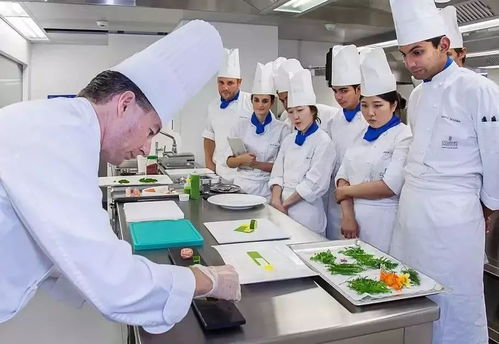 瑞士酒店管理專業大學排名概覽 追求卓越的學術殿堂